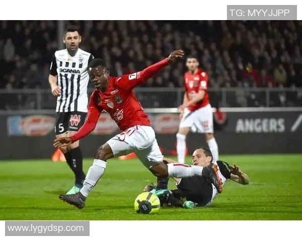 波多尔主场迎战图卢兹期待精彩对决与激烈竞争