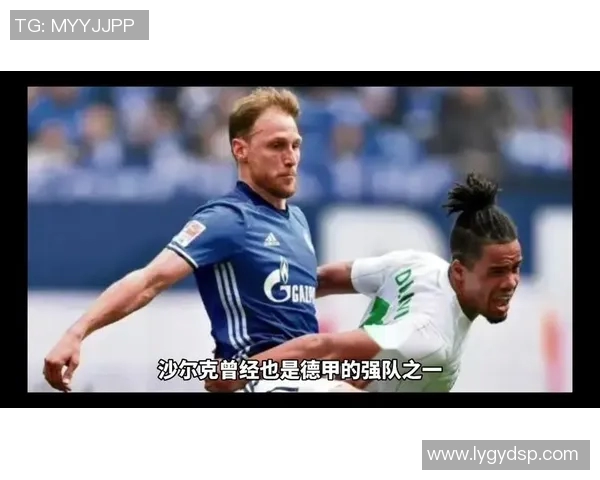 沙尔克04主场大败霍芬海姆惨遭逆转击败 沙尔克04主场大败霍芬海姆惨遭逆转击败